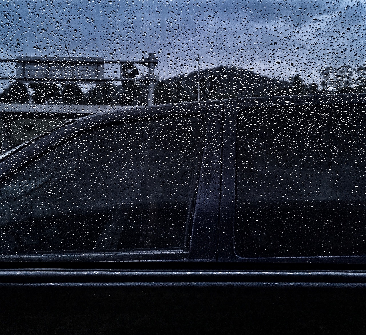 【雨中即景摄影图片】厦门生态摄影_瞬间精彩_太平洋电脑网摄影部落