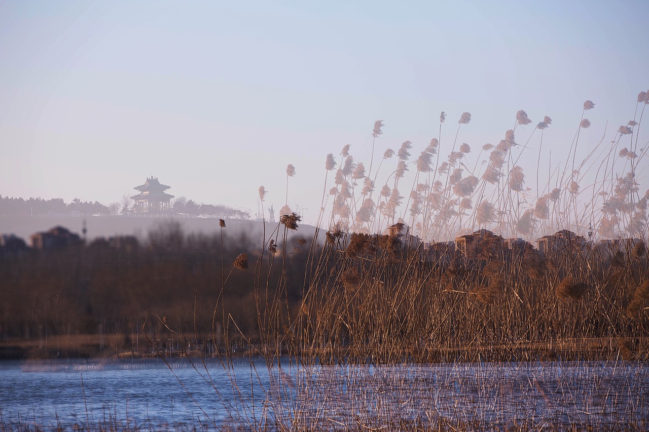 眼中的美景（圖ZNzEyMTIxOTY=） - 風(fēng)光攝影 - 站酷設(shè)計(jì)師檸檬先生89原創(chuàng)素材 - 站酷ZCOOL
