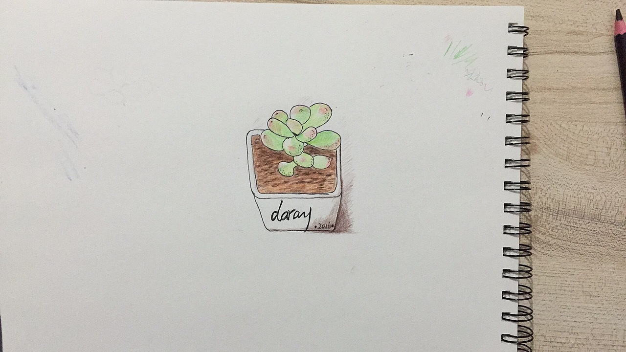 彩铅多肉练习（图ZNDg1OTQ5NjQ=） - 创作习作 - 站酷设计师一颗小小皮蛋原创素材 - 站酷ZCOOL