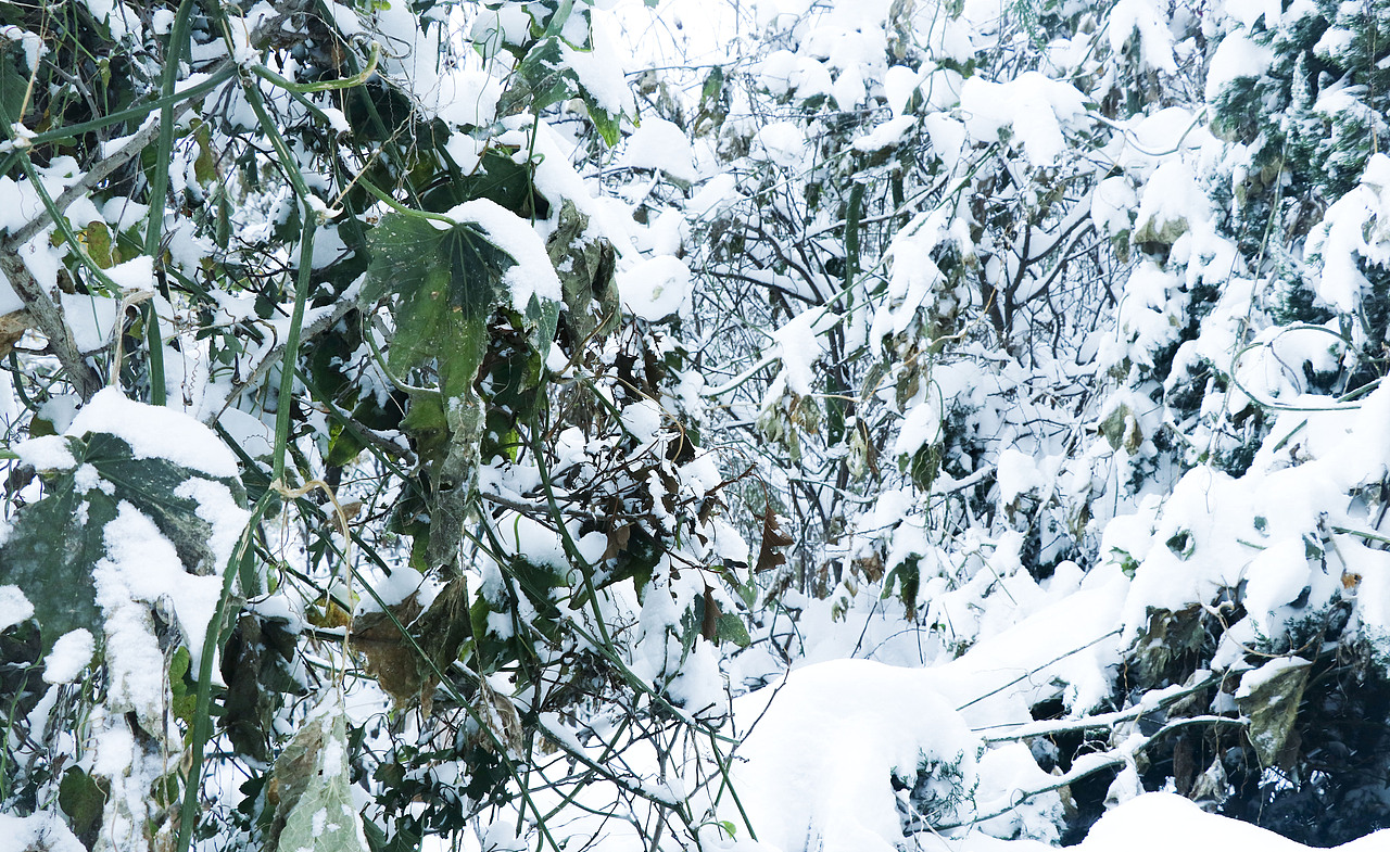 Molly的一天与一禅小和尚等盲盒场景拍摄-冬日特辑（图ZMjc2ODE1MjIw） - 产品摄影 - 站酷设计师让空气飘释原创素材 - 站酷ZCOOL