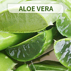 亚马逊化妆品主图设计|网页|电商|虔诚莱克创意设计 - 原创作品