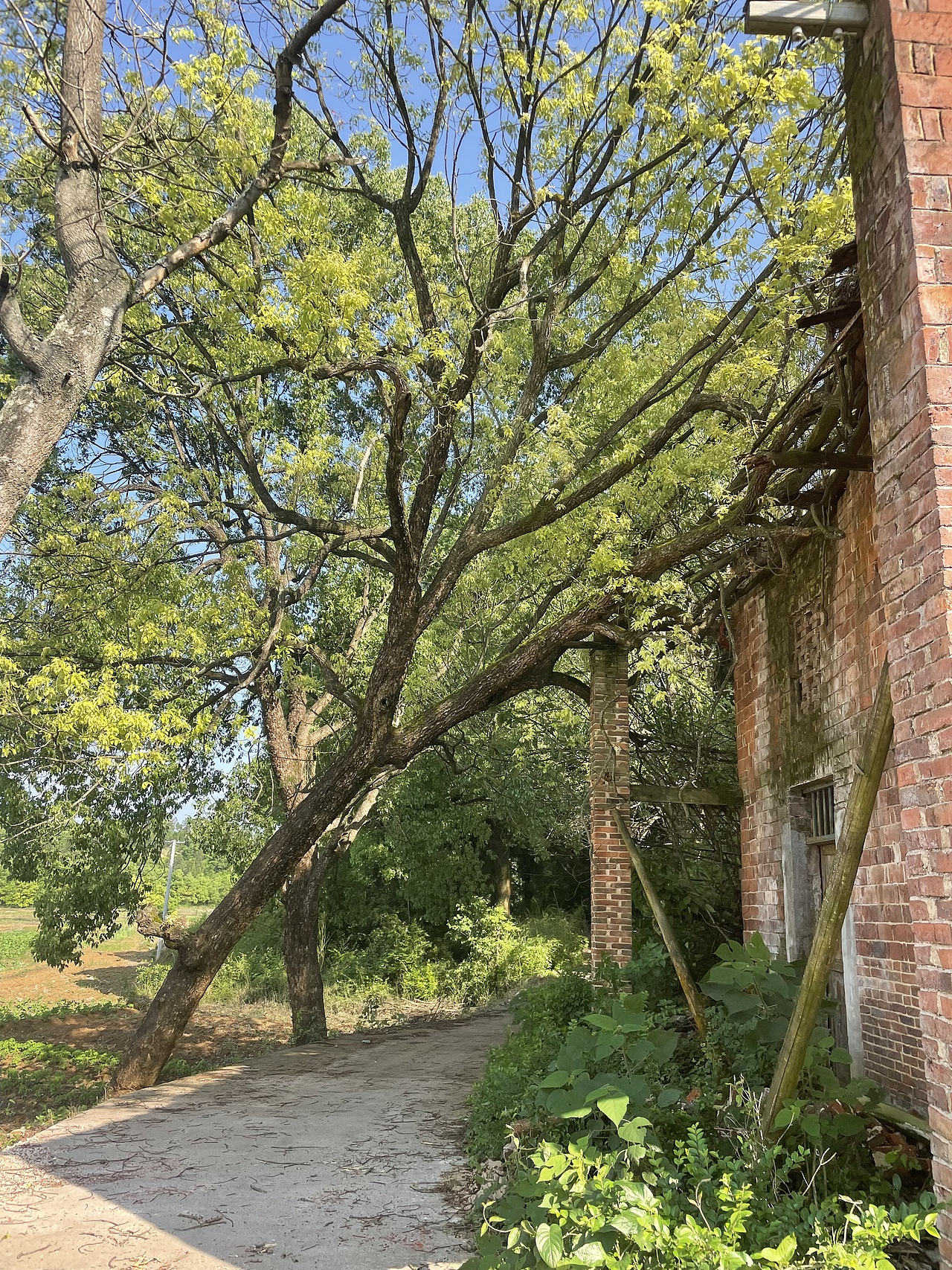 五一假期（图ZMjk5ODUxODM2） - 风光摄影 - 站酷设计师关尔zheng原创素材 - 站酷ZCOOL