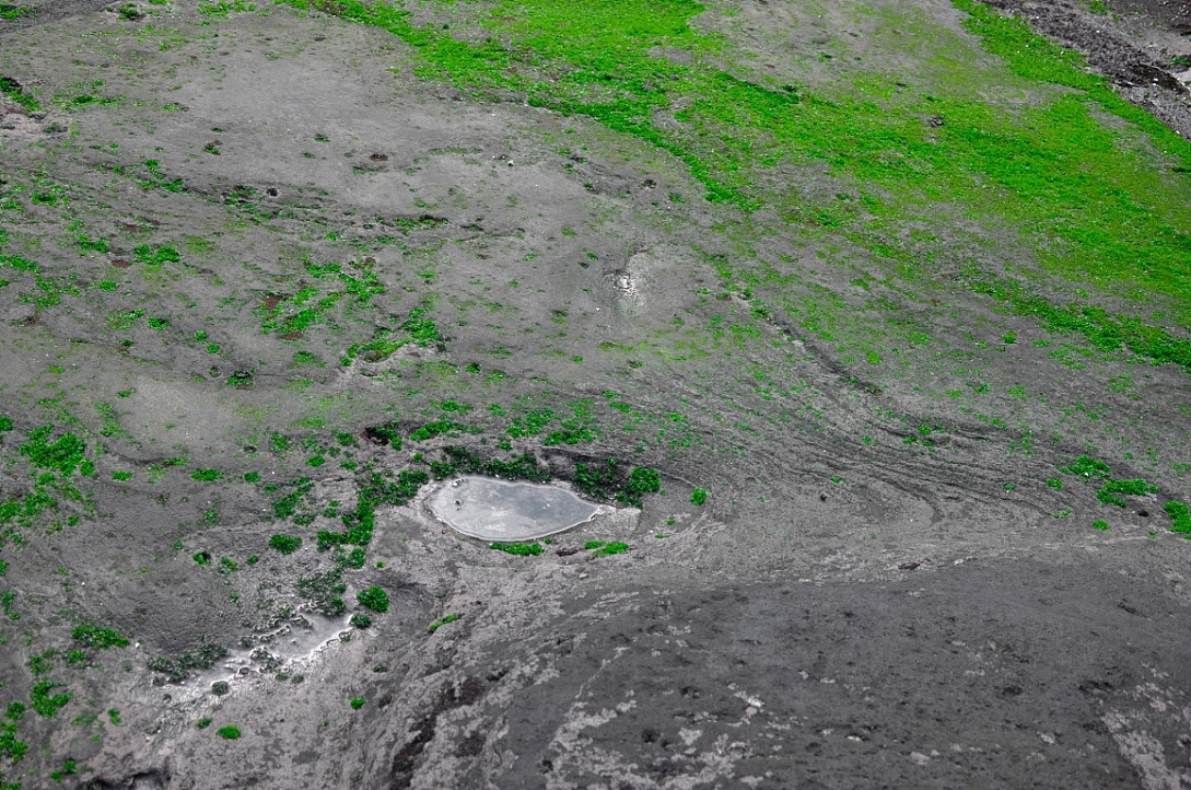 我眼里的济州岛