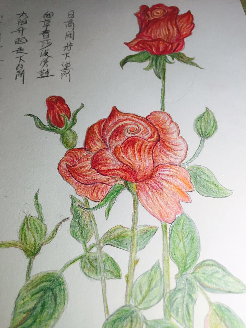 彩铅绘画习作|插画|创作习作|djr丁丁 - 原创作品 - 站酷 (zcool)