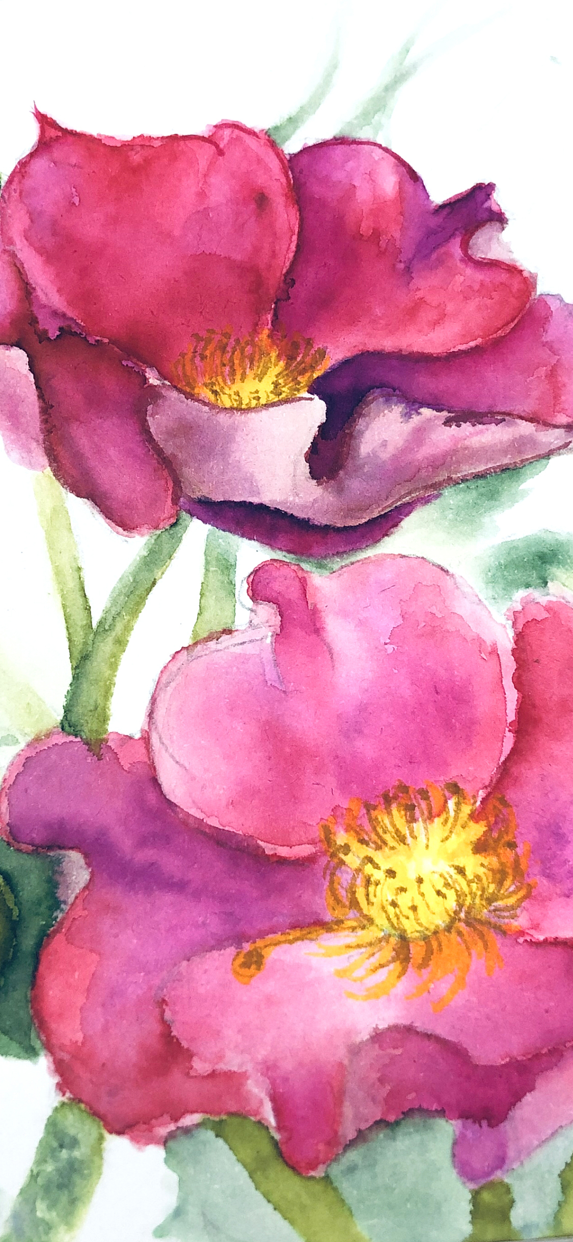 新年小红花（图ZMTQyMDg1MTUy） - 创作习作 - 站酷设计师言不甩原创素材 - 站酷ZCOOL