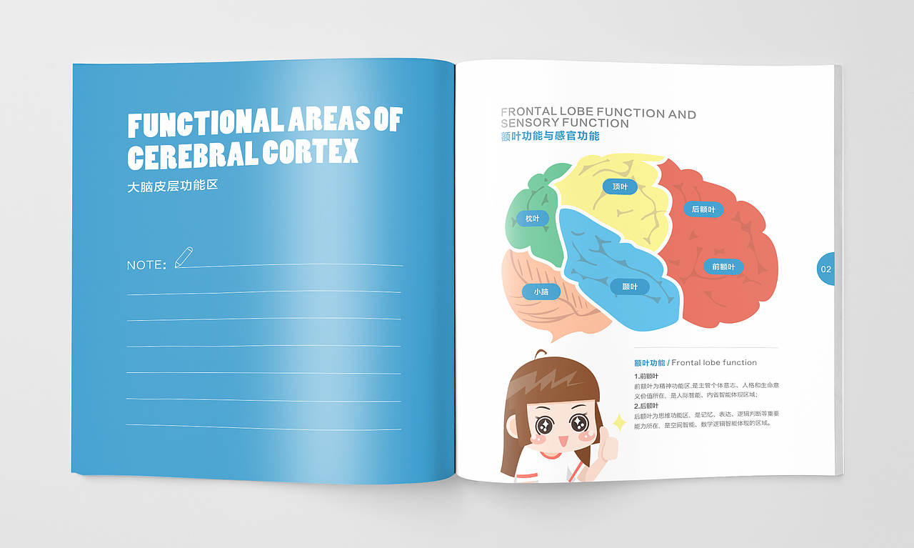 一本有关神奇的大脑的画册设计