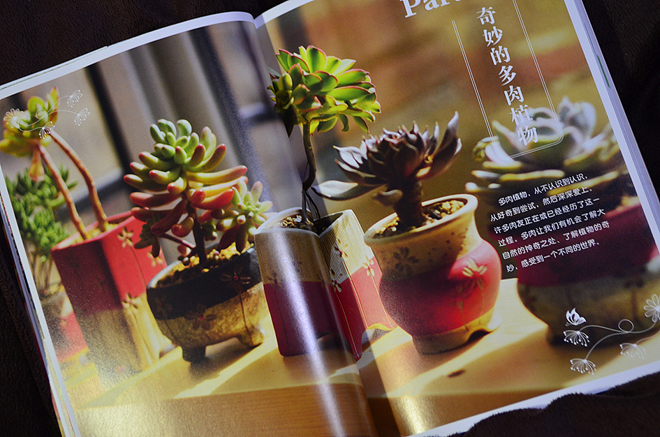新做的书，和二木一起玩多肉（图ZMTAyOTA3NDg=） - 书籍/画册 - 站酷设计师丫丫Design原创素材 - 站酷ZCOOL