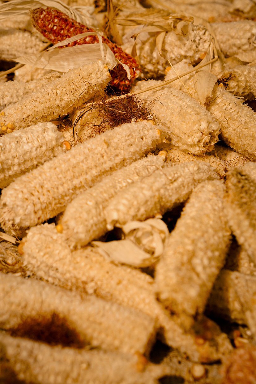 金色十一月（图ZMzIyNjg2NTg0） - 风光摄影 - 站酷设计师燦0307原创素材 - 站酷ZCOOL