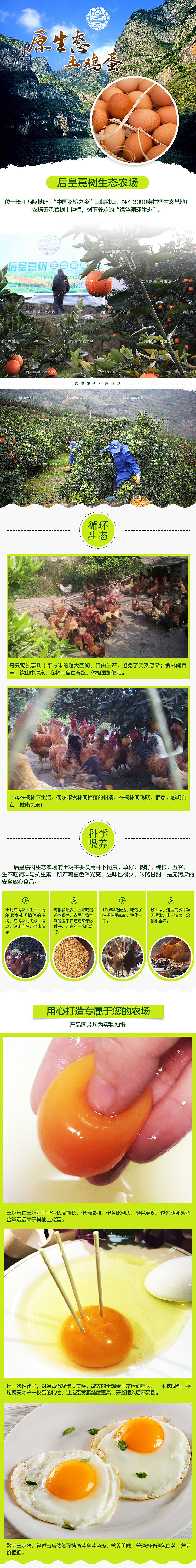 土鸡蛋详情页（图ZODAzNTU5ODQ=） - 电商 - 站酷设计师似燕归来原创素材 - 站酷ZCOOL