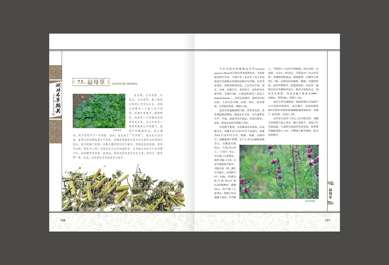 画册一二（图ZMTY3ODcwNjMy） - 书籍/画册 - 站酷设计师鄂Q网图搬运工原创素材 - 站酷ZCOOL