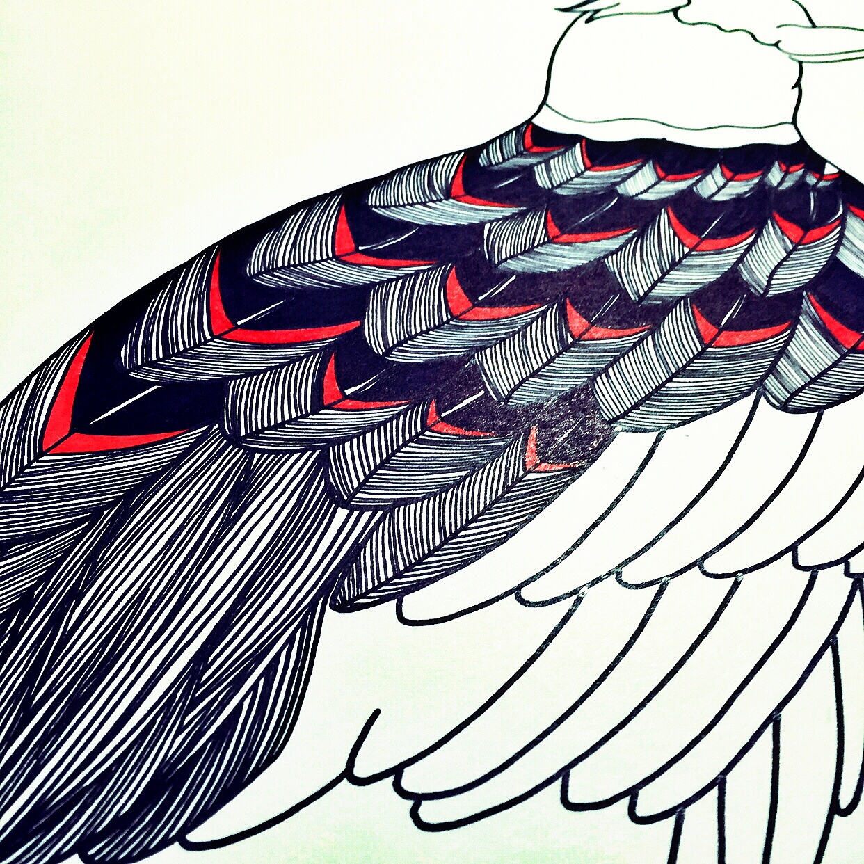 兴奋的时刻做兴奋的事情！（图ZMzczOTYzMDQ=） - 创作习作 - 站酷设计师婲婲小昕原创素材 - 站酷ZCOOL