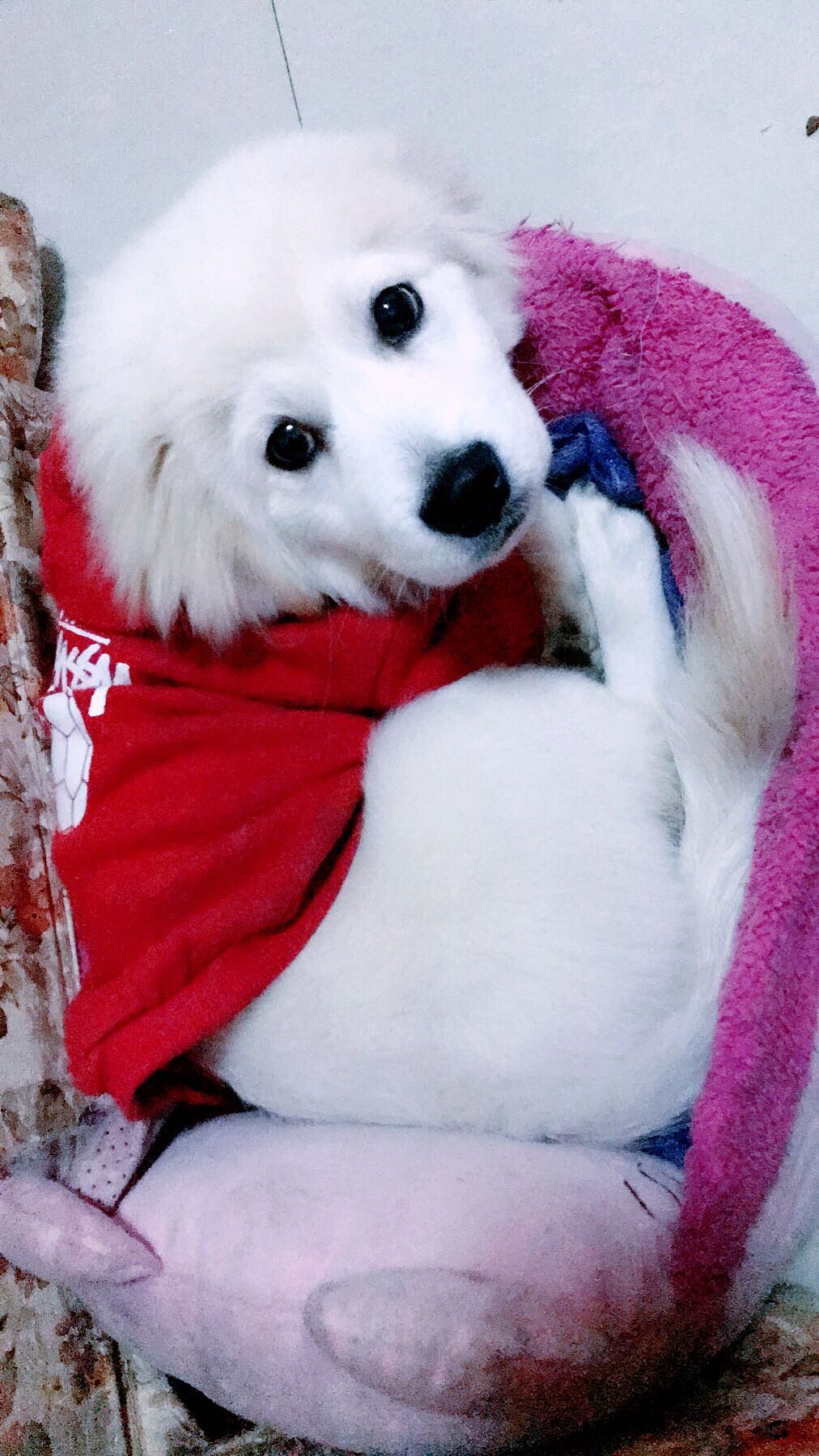 O(∩_∩)O哈哈~,,