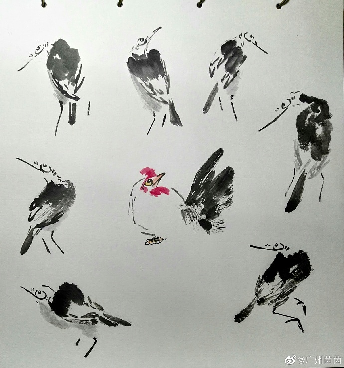 《水墨鸟的画法》