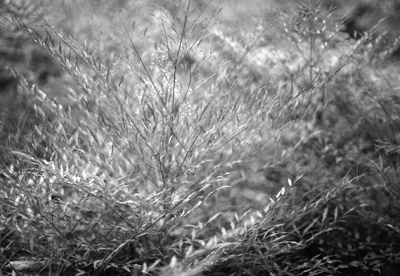 黑白胶卷（图ZMjMwMzQwMzcy） - 人文/纪实摄影 - 站酷设计师老杜头原创素材 - 站酷ZCOOL