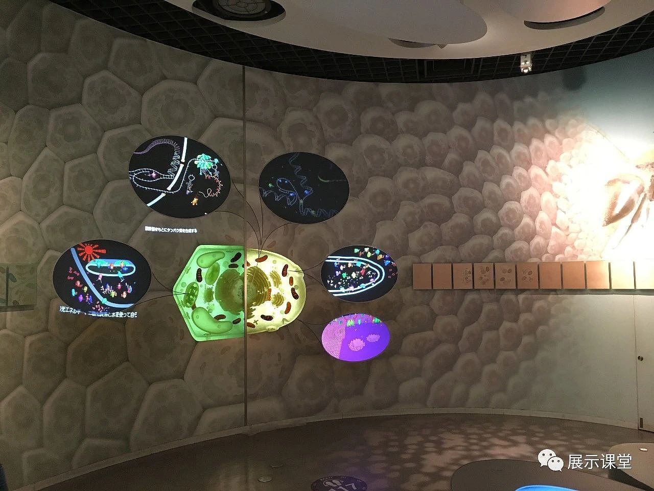 日本国立科学博物馆（图ZMjcxOTU1MDMy） - 展陈设计 - 站酷设计师展示课堂原创素材 - 站酷ZCOOL