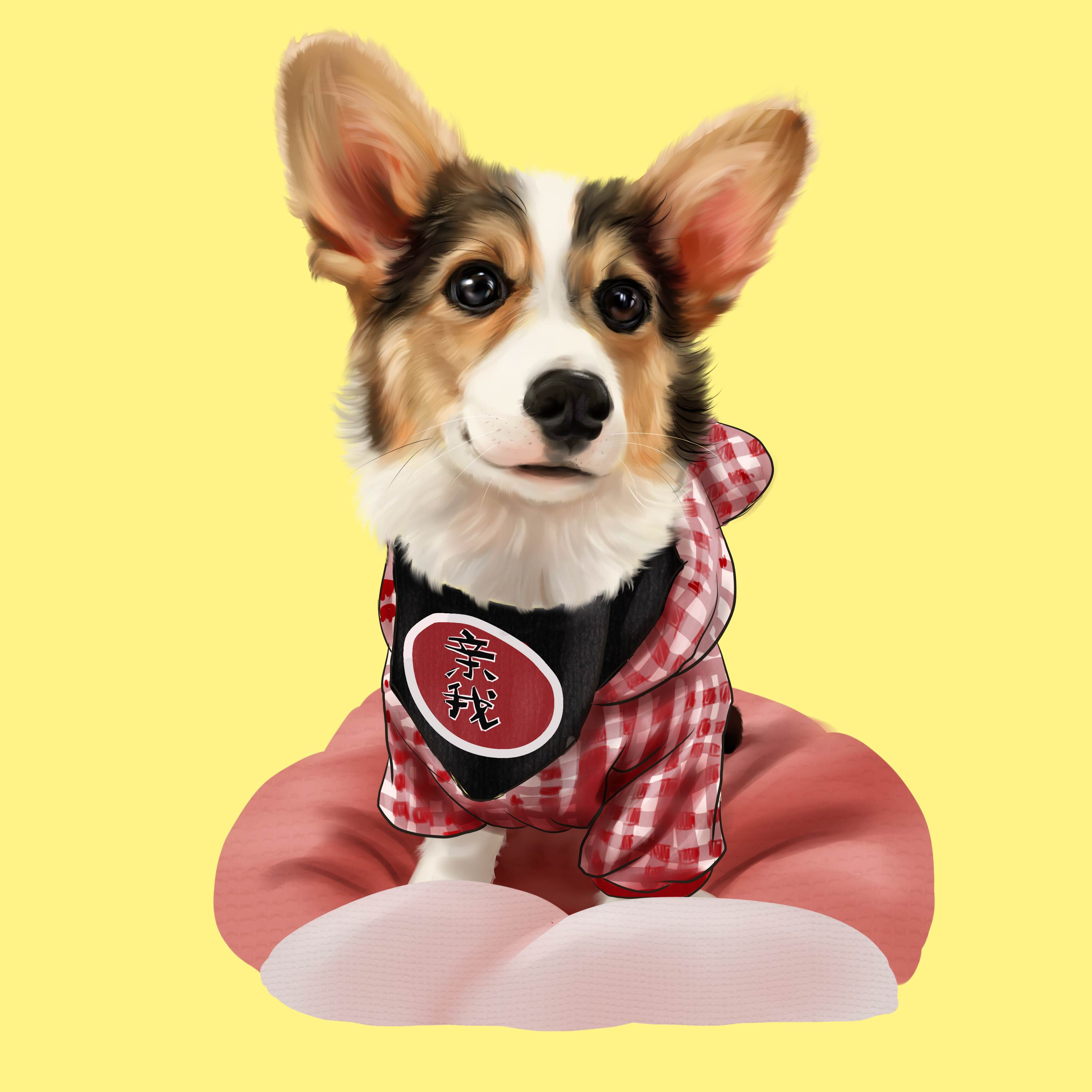 柯基小短腿宠物手绘宠物头宠物插画手绘约稿