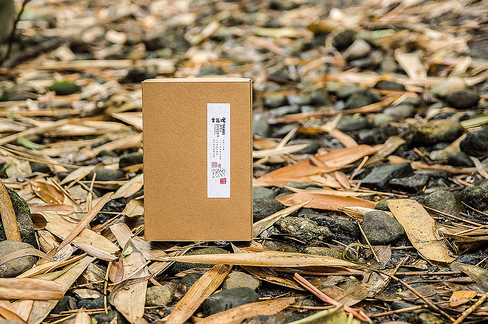 瑞福生视觉设计