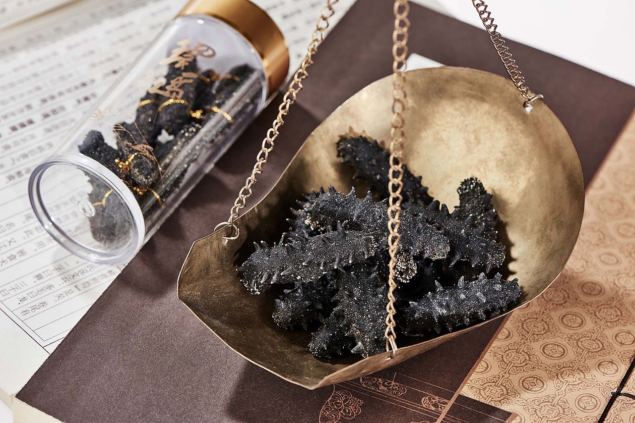 大连速发海参 即食海参 鲜蒸海参拍摄