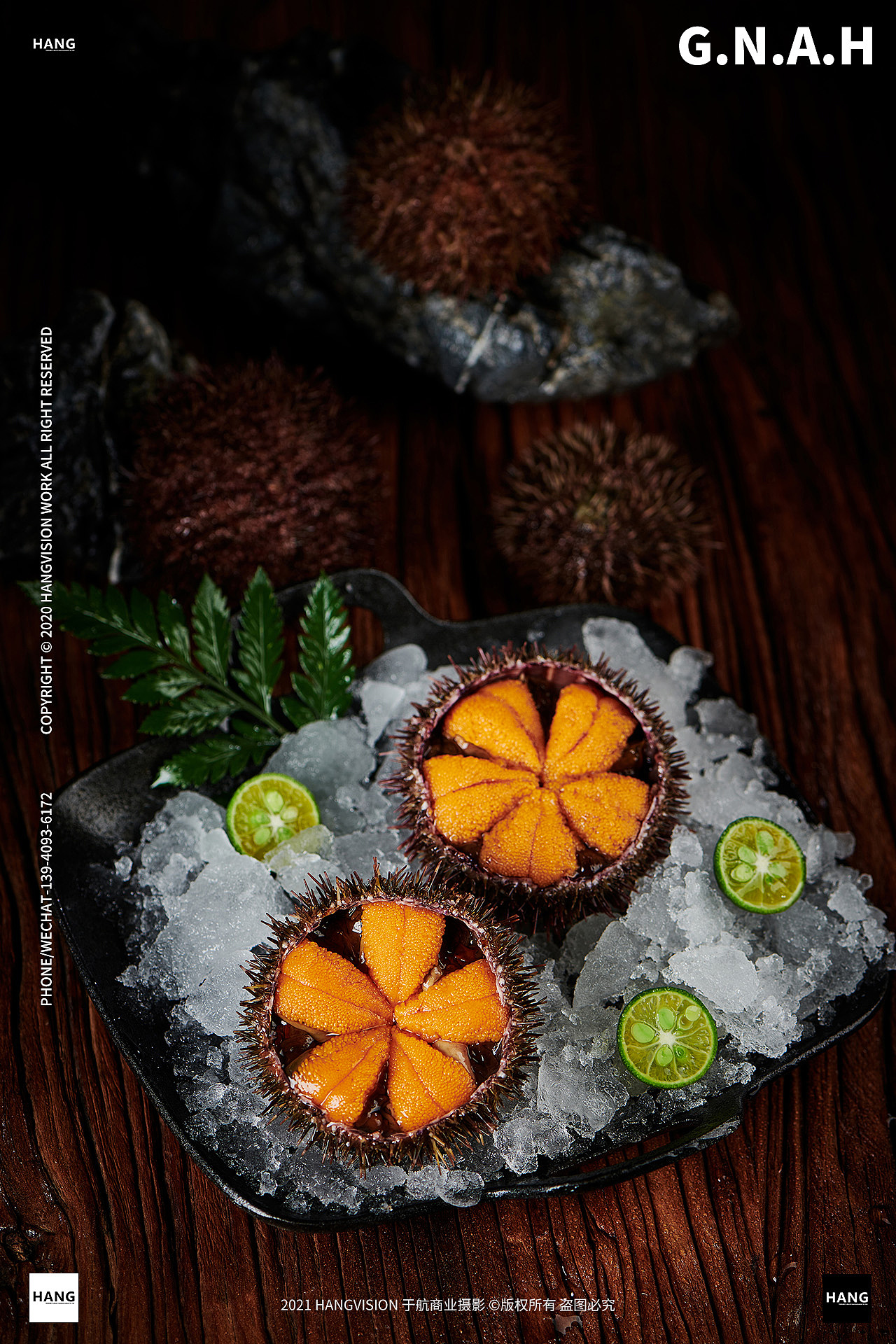 大连海鲜马粪海胆拍摄