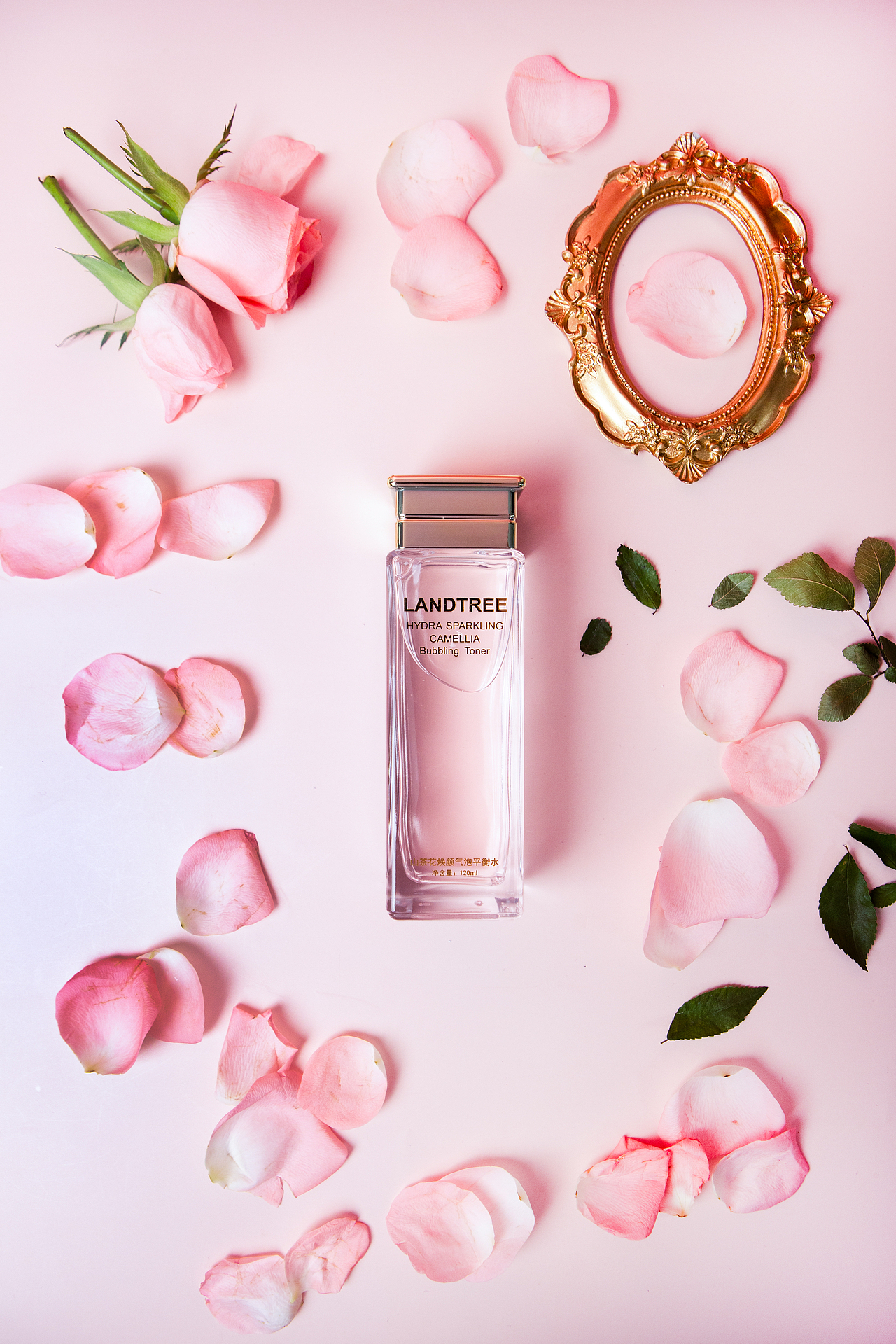 山茶粉—拍摄产品摄影