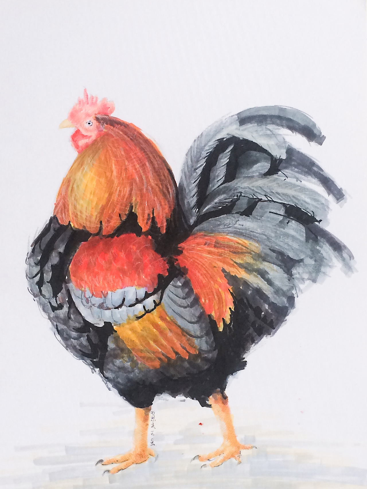 石思庆马克笔速涂大公鸡