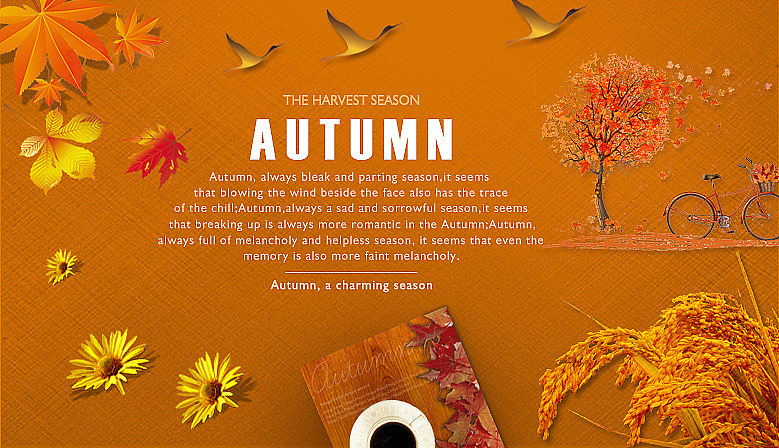 外贸电商产品图集