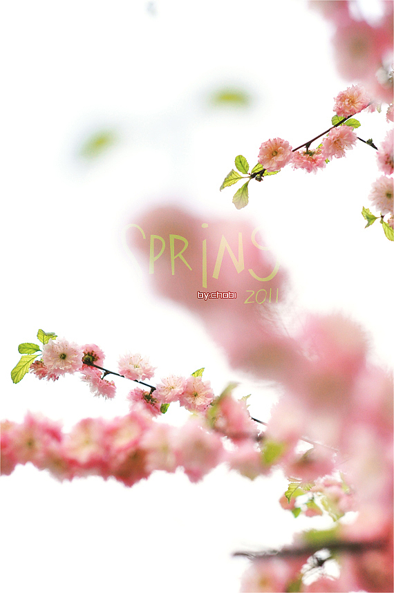 春天的随便乱照（图ZMjk5MjUxNg==） - 风光摄影 - 站酷设计师chobi原创素材 - 站酷ZCOOL