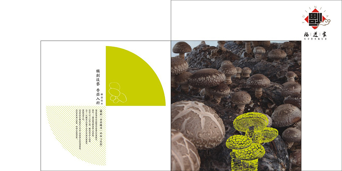 品牌画册（图ZMTE2MzgzNTIw） - 书籍/画册 - 站酷设计师菜C设计原创素材 - 站酷ZCOOL