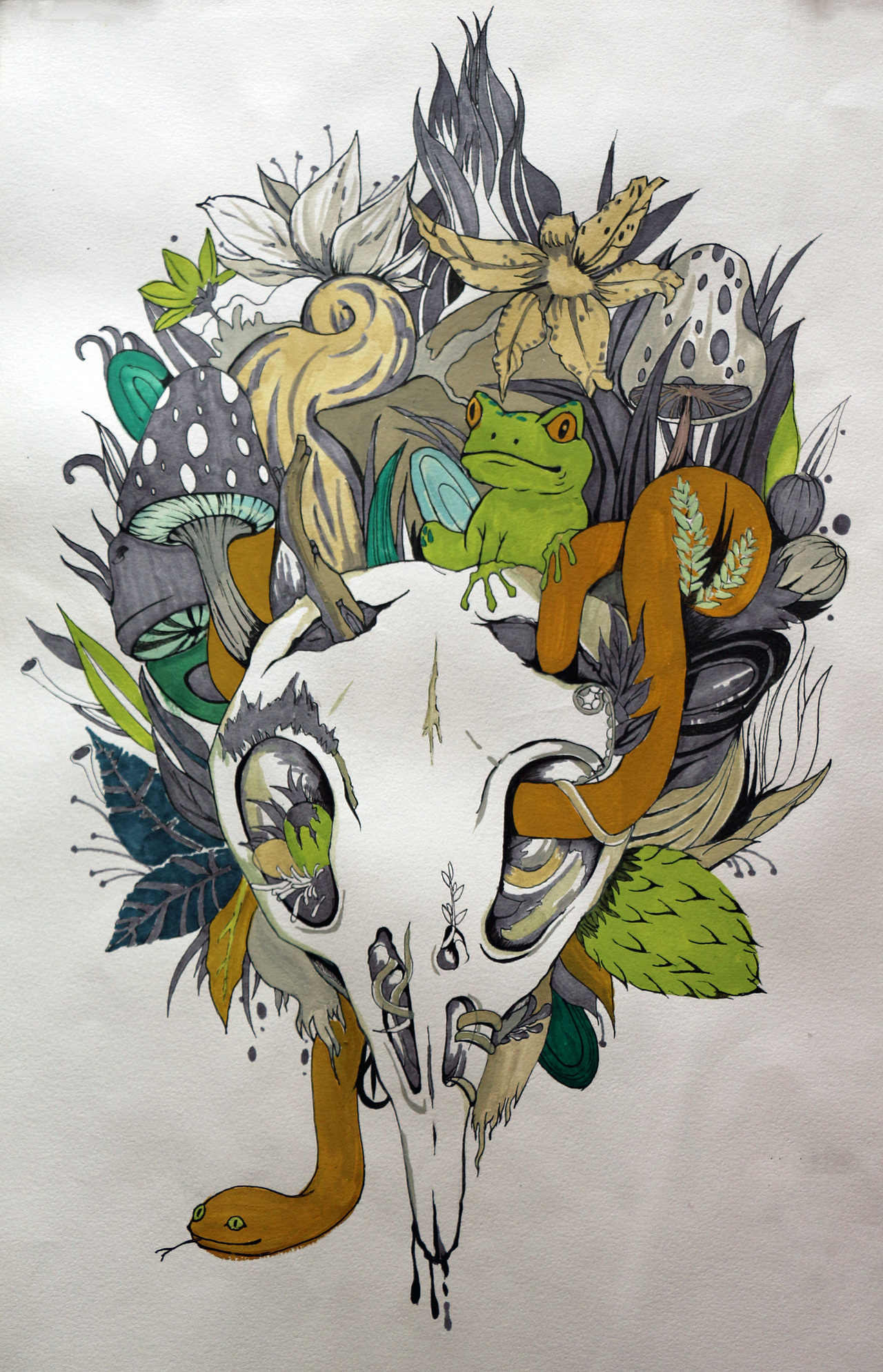 手绘|插画|创作习作|彼得兔7384_原创作品-站酷zcool