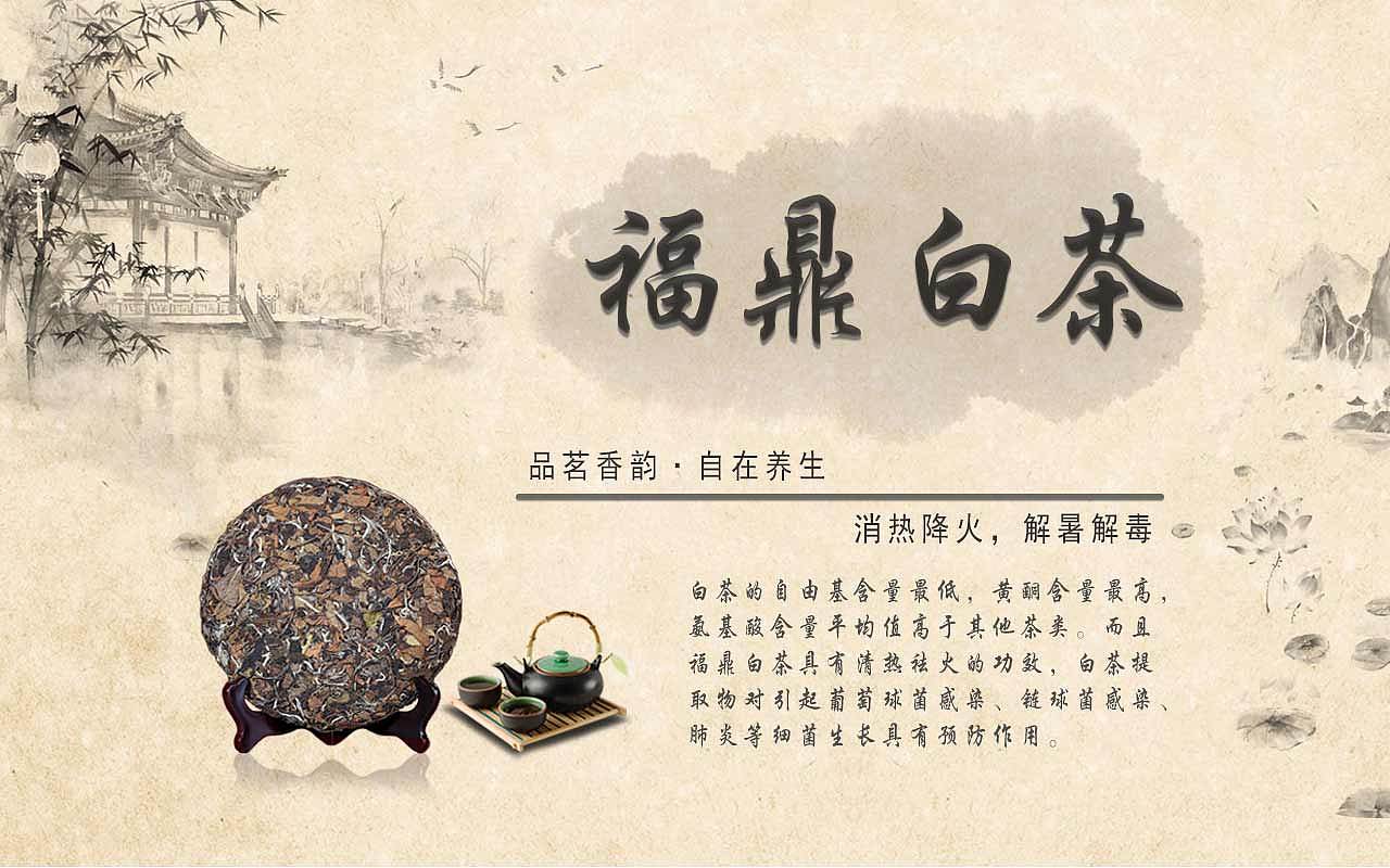 福鼎白茶banner