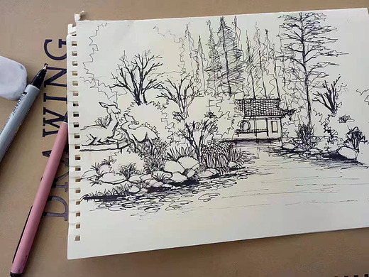 速写 杭州植物园