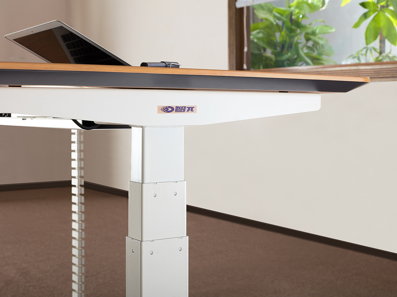 电动升降桌细节拍摄 办公书桌局部摄影 电脑桌环境拍照