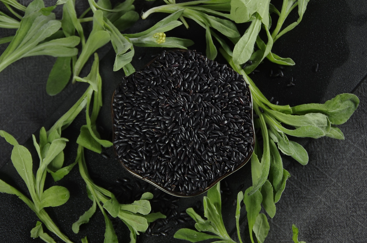 黑米（图ZMjQyMTc1NzAw） - 其他摄影 - 站酷设计师玄壹行于山原创素材 - 站酷ZCOOL