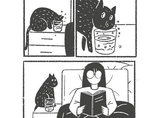 与猫日常