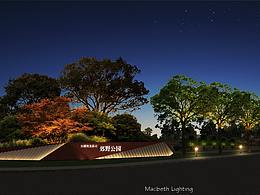 亮化