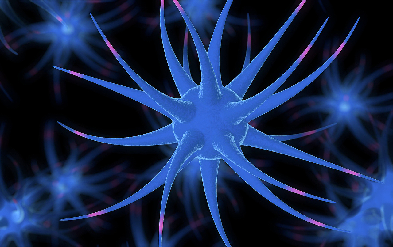 【C4D建模】C4D建模练习