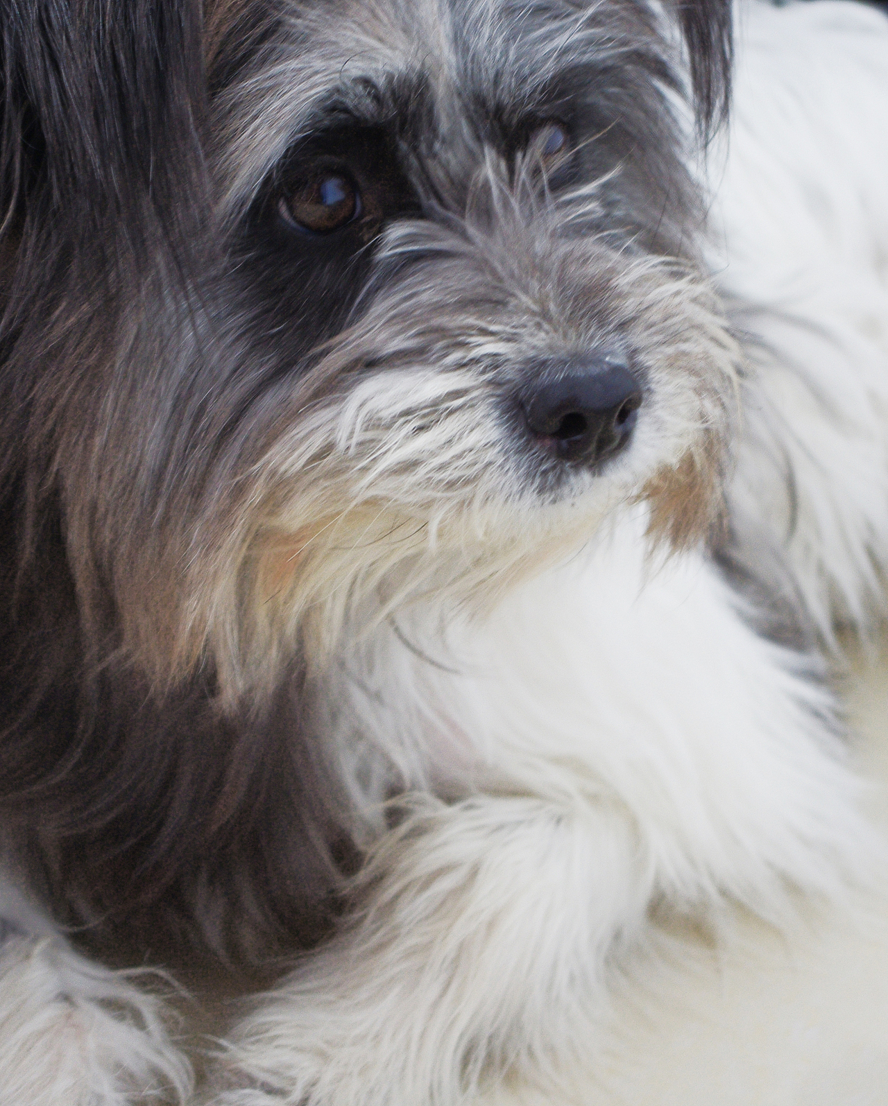 一个册子一个故事