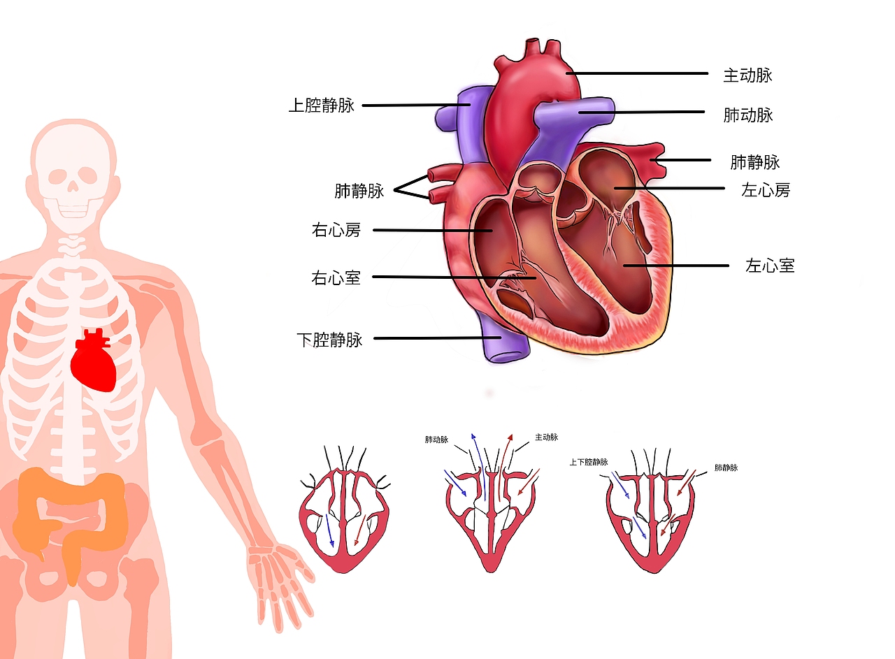 接稿,勾线,插画,速写等都可以