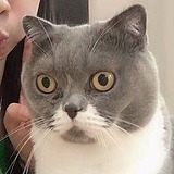 Jennie宜的头像