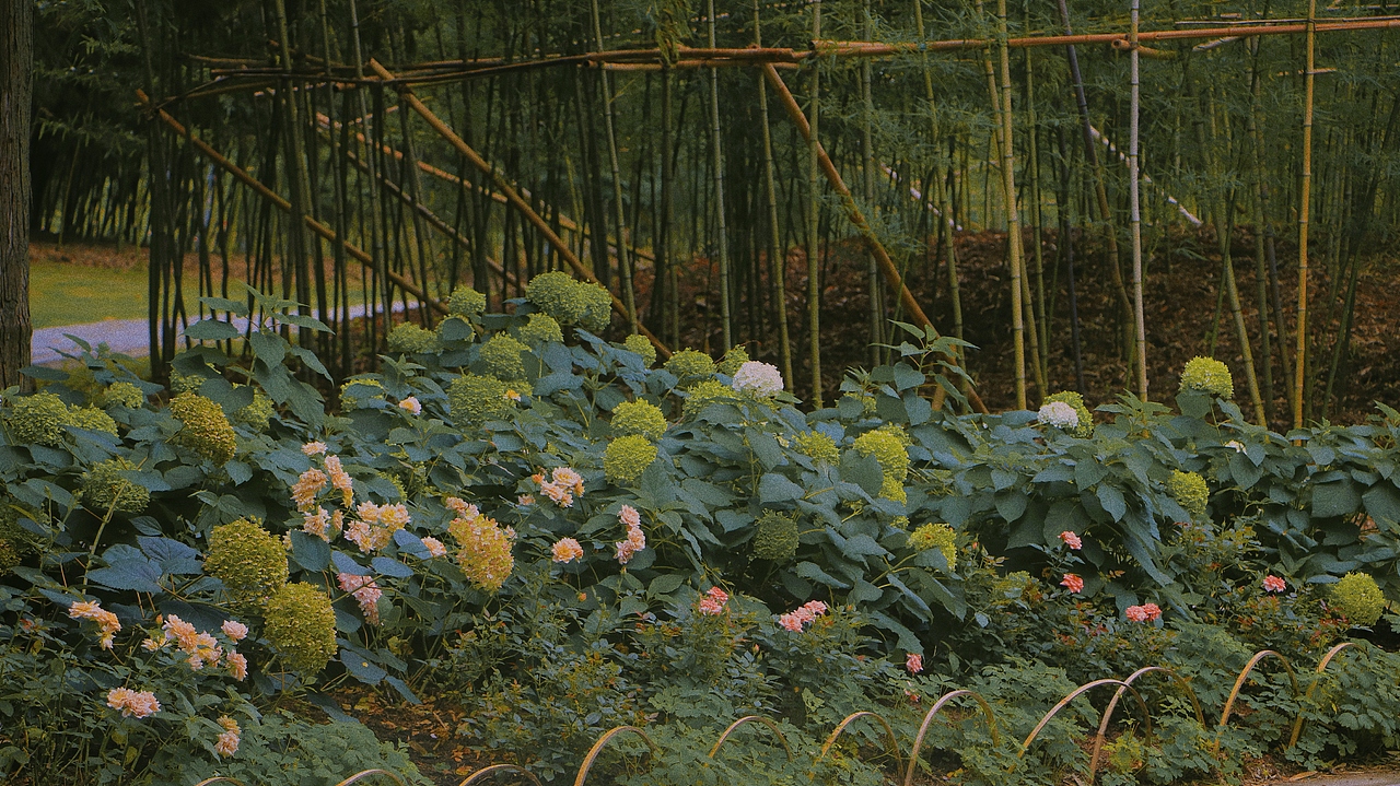 上海辰山植物园