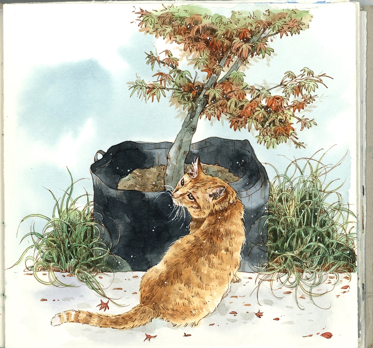 画手帐，记录生活小日子