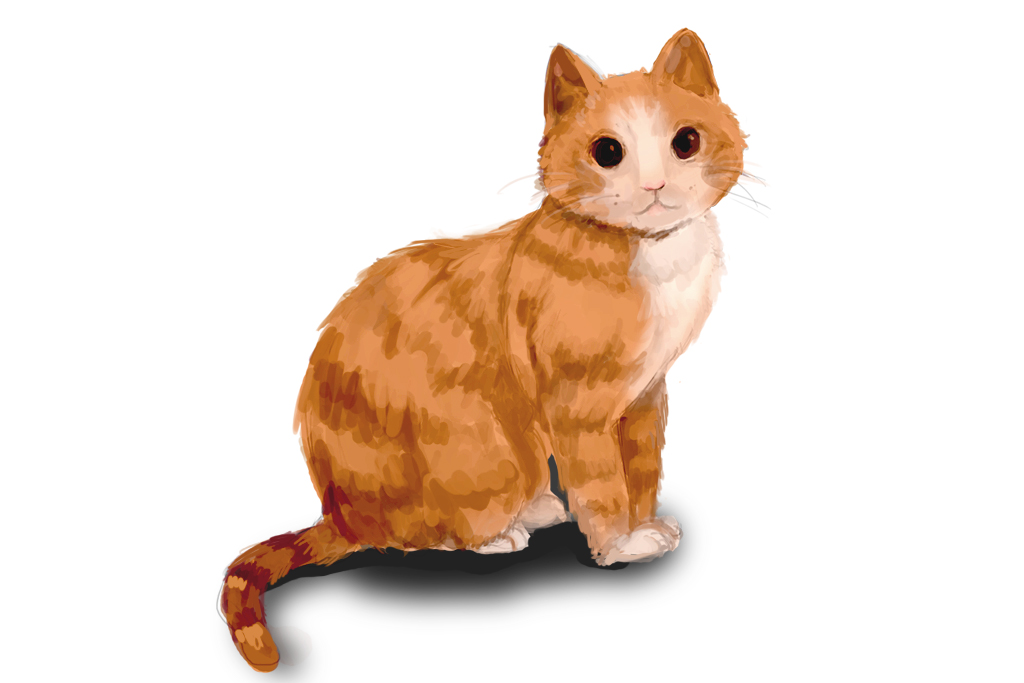 aisnow的个人主页（背景预览） - 主页背景设置 - 站酷设计师aisnow原创素材 - 站酷ZCOOL