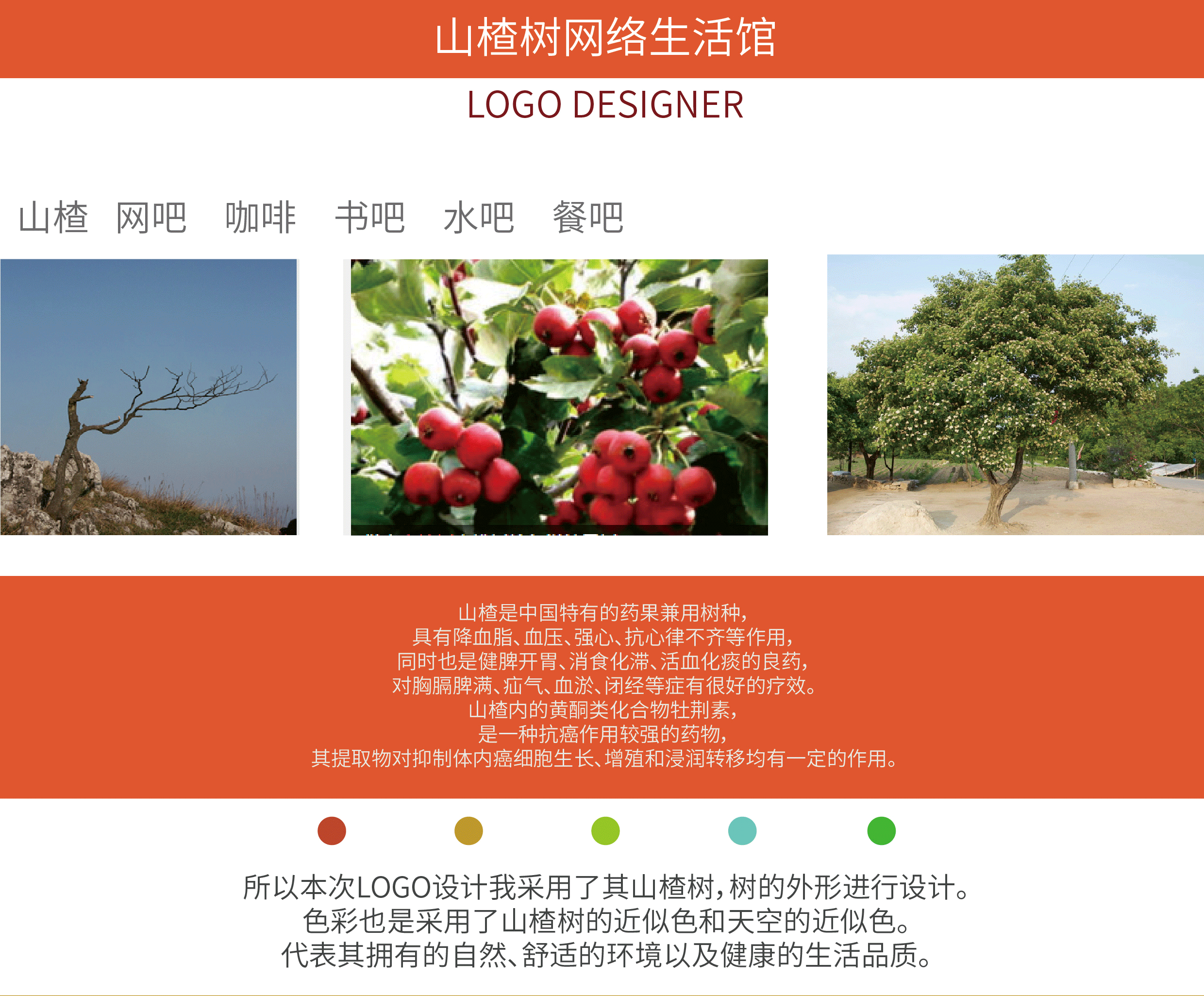 山楂树网络生活馆LOGO设计【8P】（图ZNjY4NDYxNjQ=） - Logo - 站酷设计师米夏小雨学生时代原创素材 - 站酷ZCOOL