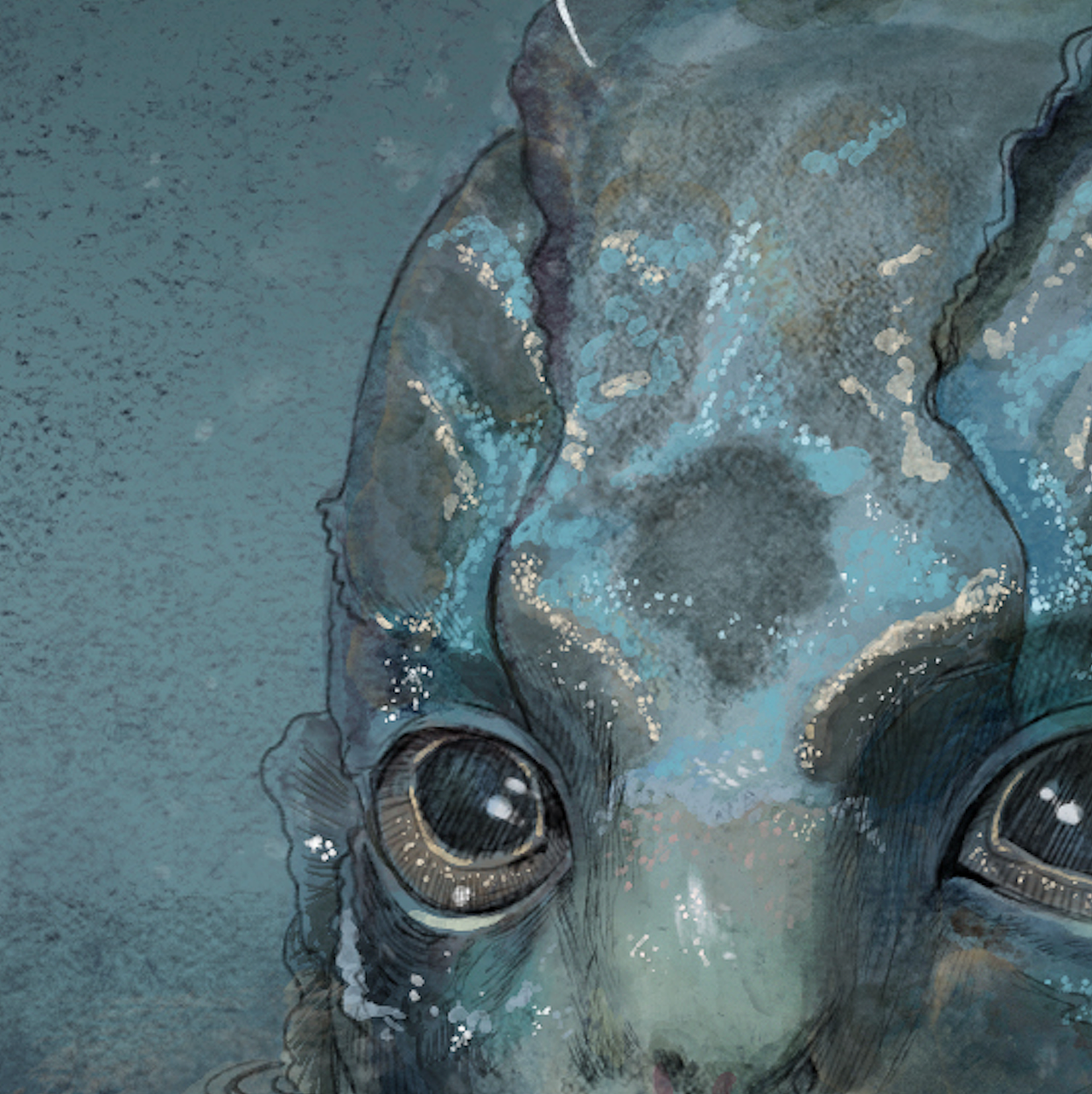 The shape of water