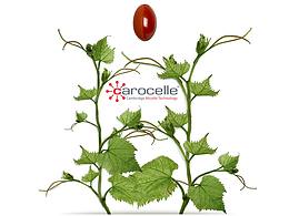 工业品整体设计