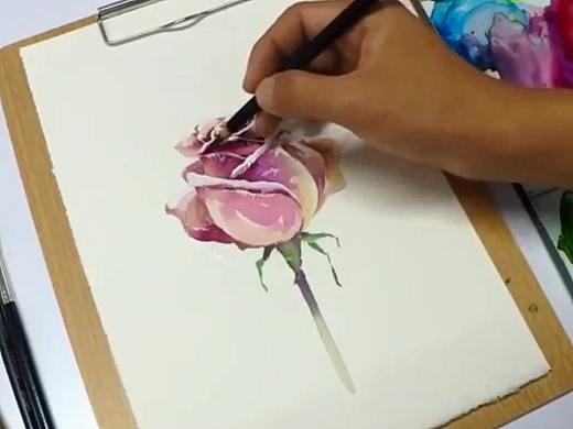 水彩画一支玫瑰视频教程