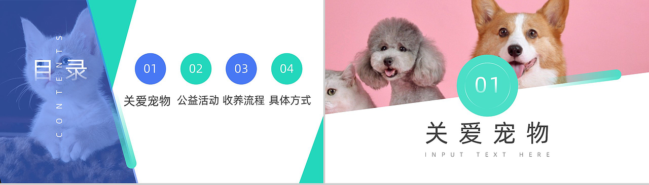 宠物收养公益宣传活动介绍PPT模板（图ZMjA0ODc2MTg0） - PPT/Keynote - 站酷设计师办公资源网原创素材 - 站酷ZCOOL