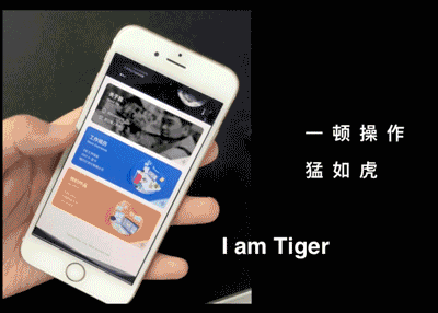 个人交互式简历