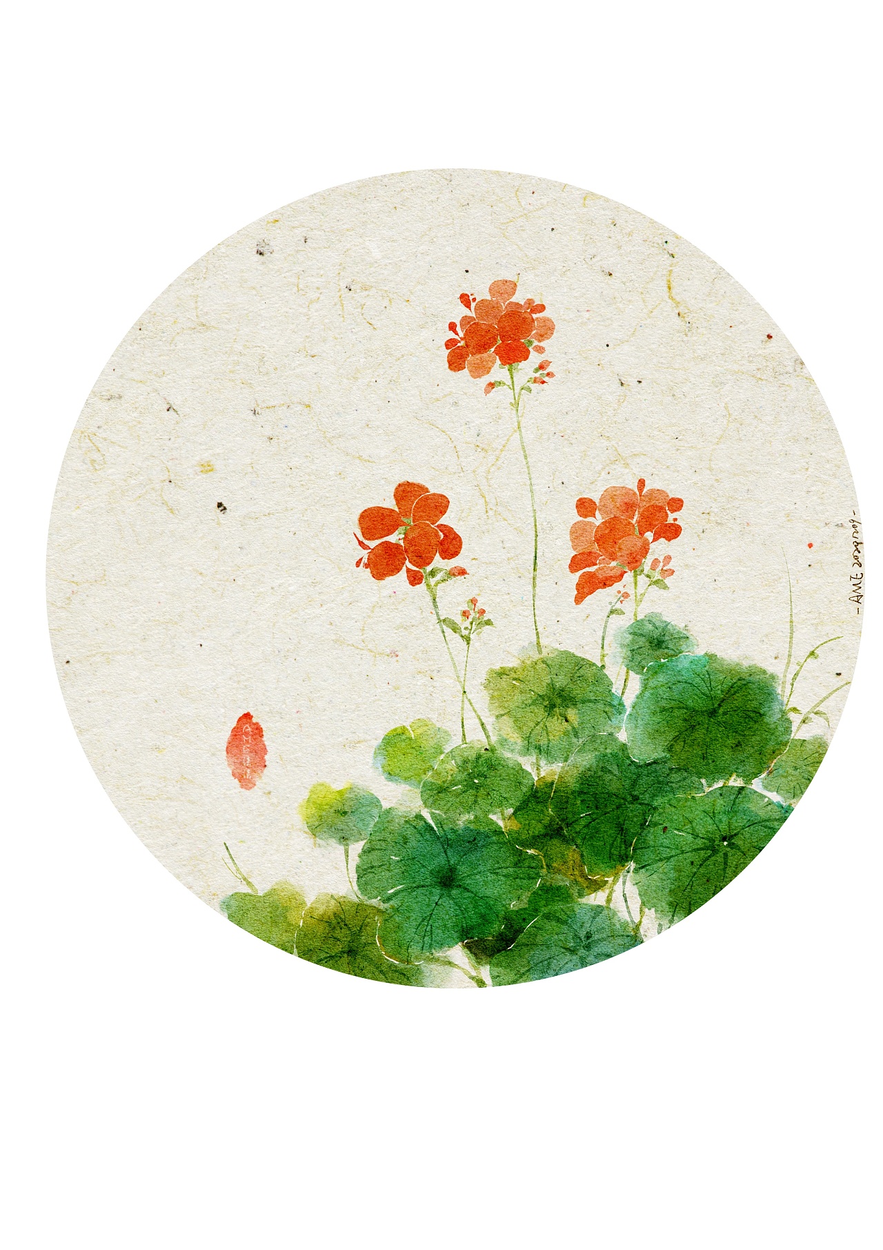 国风植物集|插画|创作习作|ame炸油条 - 原创作品 - 站酷 (zcool)