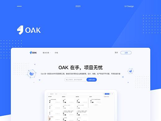 项目管理官网设计 2020